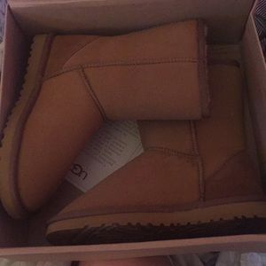 ugg shoes